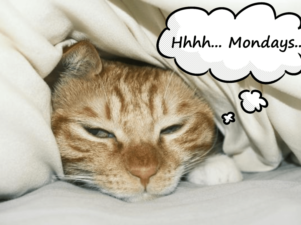 Are You Getting Enough&nbsp;Sleep?